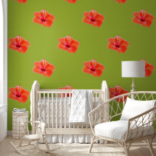 Papel Pintado Sólo una flor de Hibisco