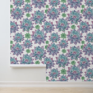 Papel Pintado Suculentos