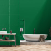 Un fondo verde profundo contrasta con un blanco cr