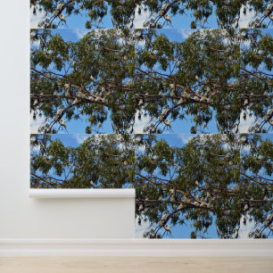 Papel Pintado "Vuelo de lo salvaje: Cacatúas blancas australiana
