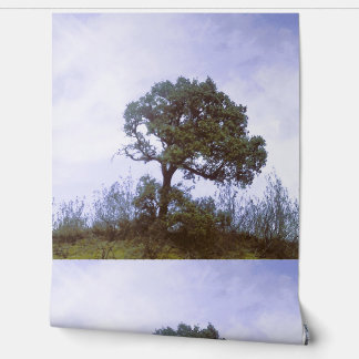 Papel Pintado Wallpaper style design