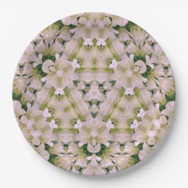 Papel Plato de cartón