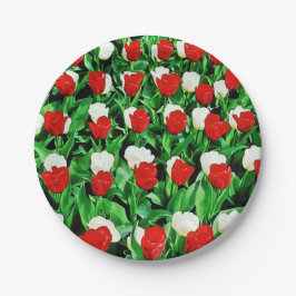 Papel Plato de cartón