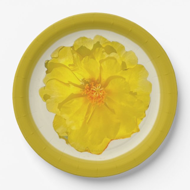 Papel Plato de cartón (Anverso)