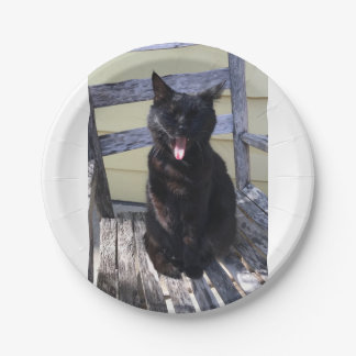 Papel Plato de gato cortado