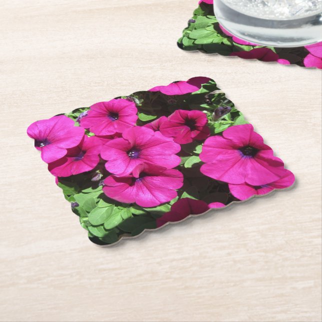 Papel Posavasos de Petunia (En perspectiva)