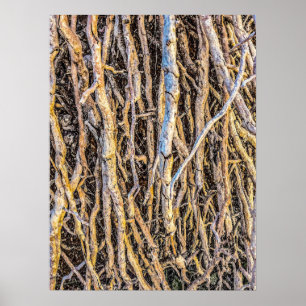 Papel Poster de 4 impresiones desarraigadas (semib