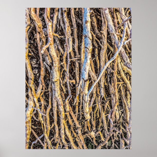 Papel Poster de 4 impresiones desarraigadas (semib (Frente)