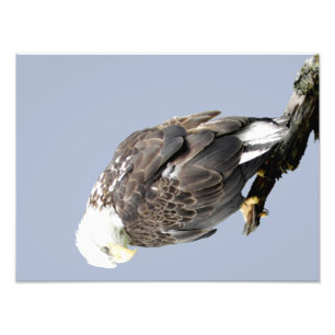 papel profesional de la foto de 16x12 Kodak