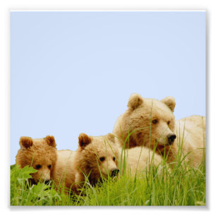 papel profesional de la foto de 6x6 Kodak (satén)