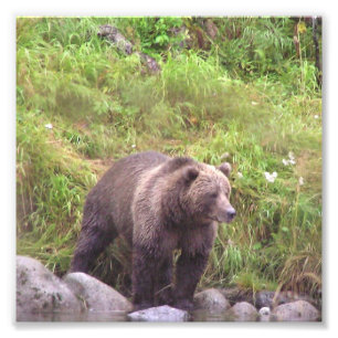 papel profesional de la foto de 6x6 Kodak (satén)