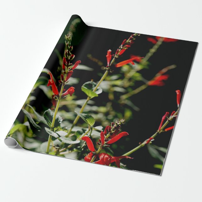 Papel rojo de Wraping del regalo del otoño (Desenrollado)