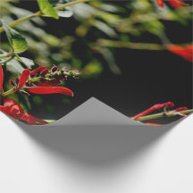Papel rojo de Wraping del regalo del otoño