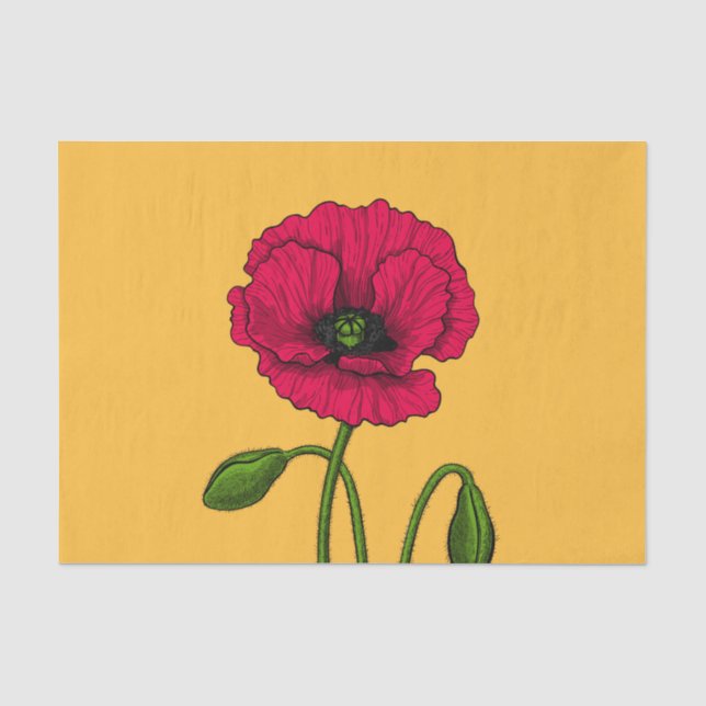 Papel rojo para dibujar papel (Anverso)