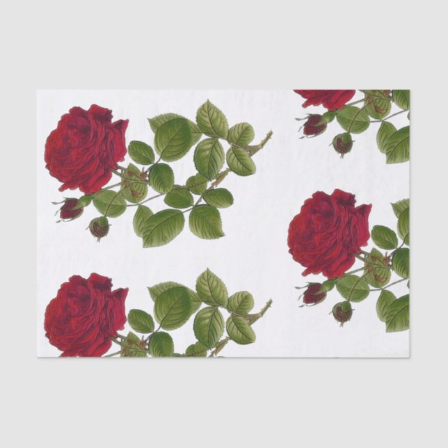 Papel seda 10" del jardín de rosas rojos x15 " (Anverso)