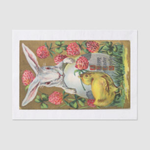 papel seda 10lb, blanco con el CONEJITO de PASCUA