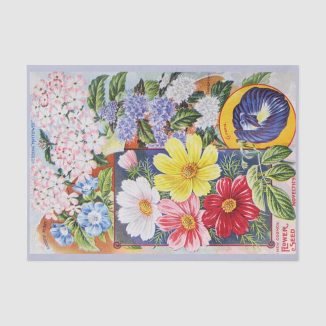 Papel seda antiguo del catálogo de semilla de (Anverso)