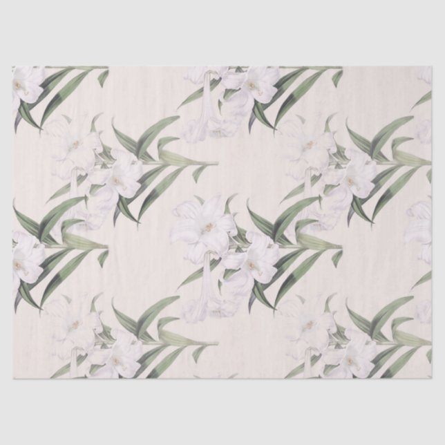 Papel seda botánico de las diagonales del lirio de (Anverso)