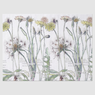 Papel seda botánico de los Wildflowers de la flor