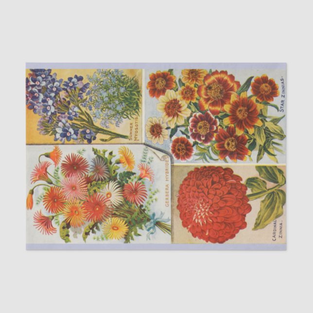 Papel seda brillante antiguo de la flor del verano (Anverso)