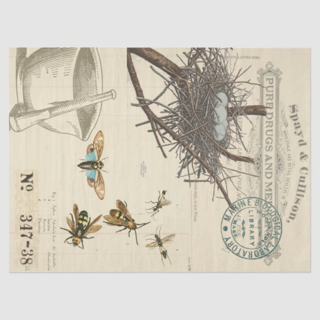 Papel seda de Decoupage del boticario de la abeja (Anverso)