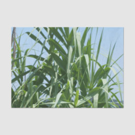 Papel seda de encargo