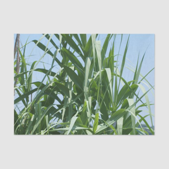 Papel seda de encargo (Anverso)