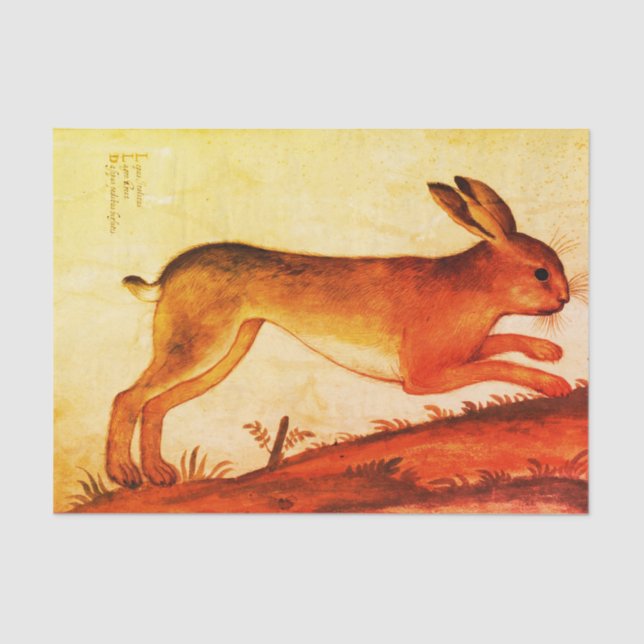 Papel seda de encargo 10lb del CONEJO de CONEJITO, (Anverso)