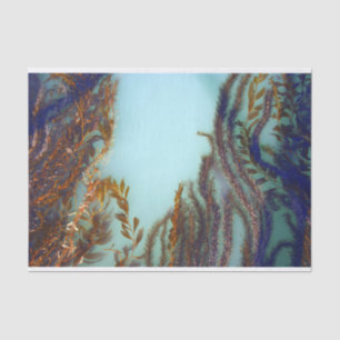 Papel seda de la alga marina