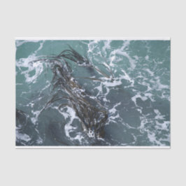 Papel seda de la alga marina