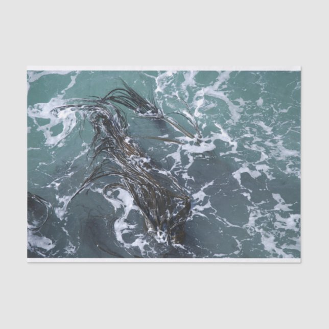 Papel seda de la alga marina (Anverso)