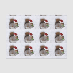 Papel seda de la ardilla del navidad