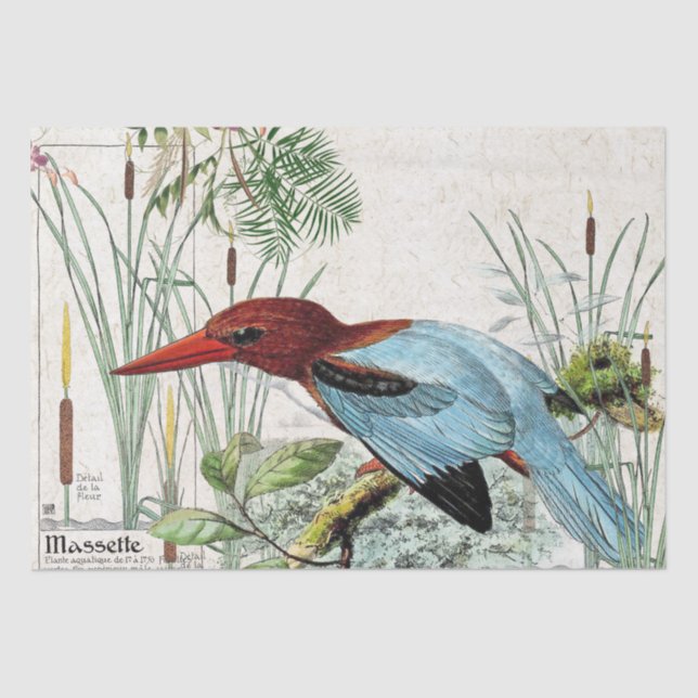 Papel seda de la fauna de la charca del Cattail (Anverso)