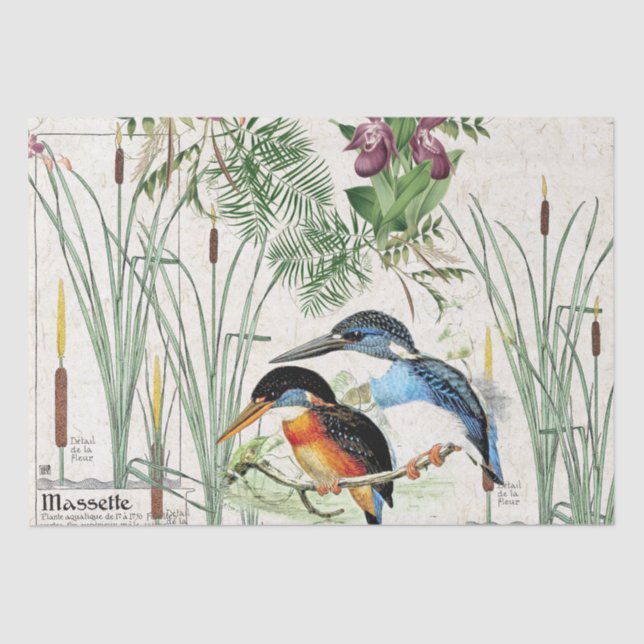 Papel seda de la fauna de la charca del Cattail (Anverso)