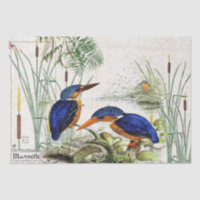 Papel seda de la fauna de la charca del Cattail