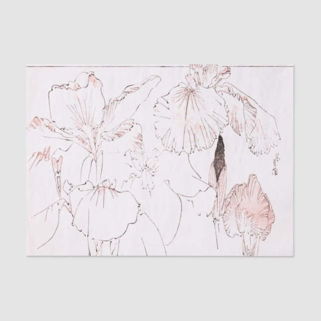 Papel seda de la IMPRESIÓN del IRIS JAPONÉS (Anverso)