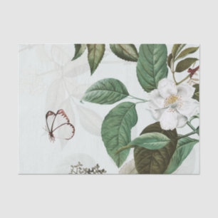 Papel seda de la MAGNOLIA de la MARIPOSA