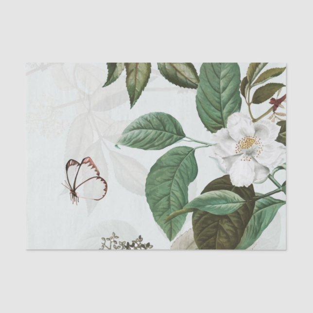 Papel seda de la MAGNOLIA de la MARIPOSA (Anverso)