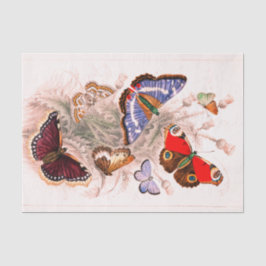 Papel seda de la mariposa