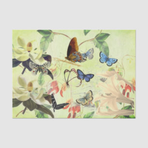 PAPEL SEDA DE LA MARIPOSA Y DE LA MAGNOLIA