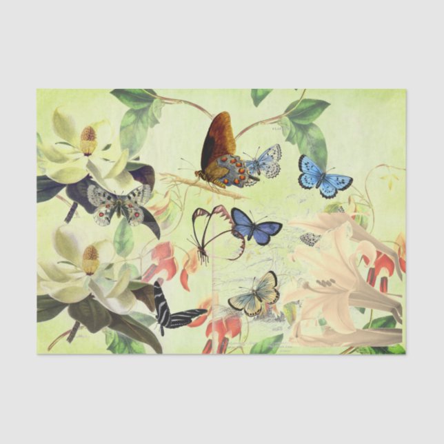 PAPEL SEDA DE LA MARIPOSA Y DE LA MAGNOLIA (Anverso)