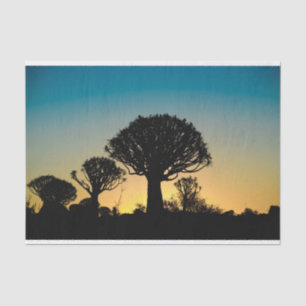 Papel seda de la puesta del sol del bosque del