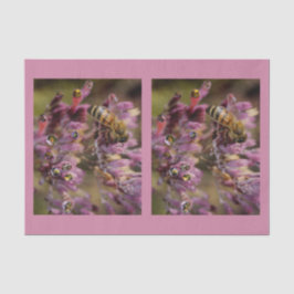 Papel seda de las abejas de la burbuja