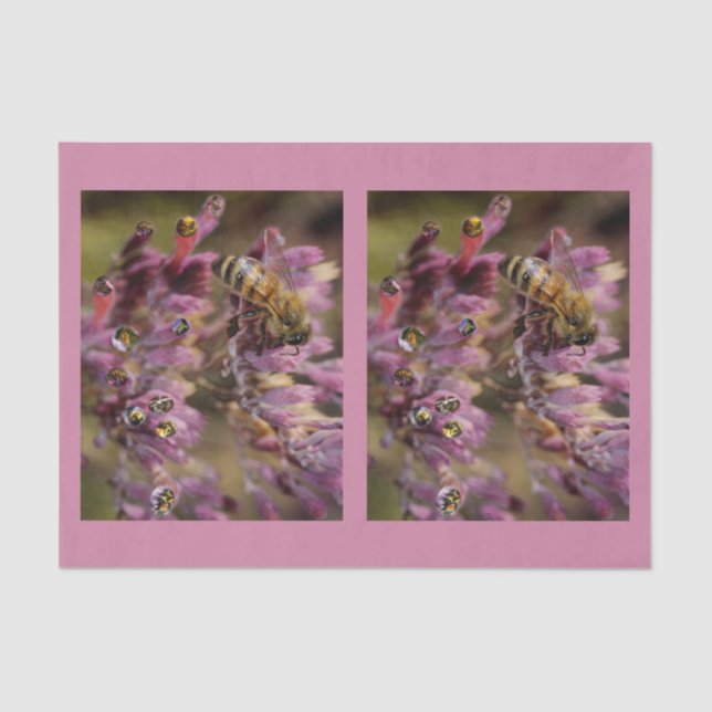 Papel seda de las abejas de la burbuja (Anverso)