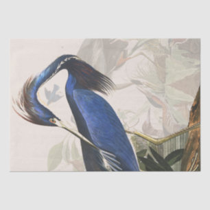 Papel seda de los animales de la fauna de los