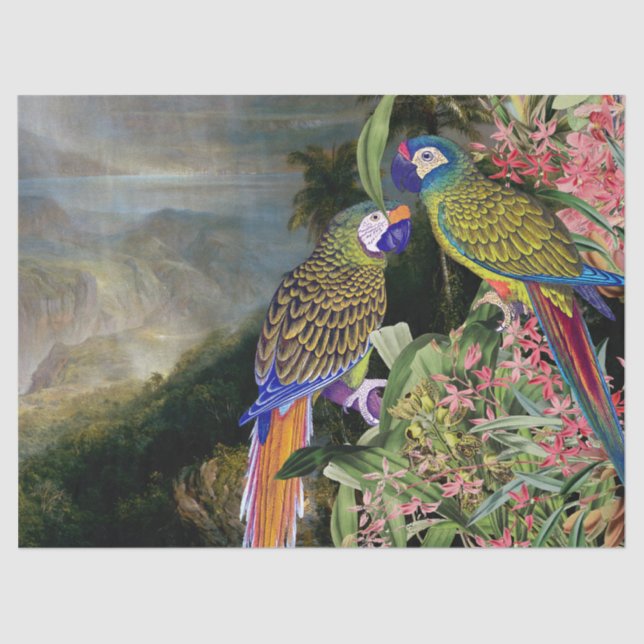 Papel seda de los animales de la selva tropical (Anverso)