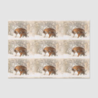 Papel seda de los tigres del invierno