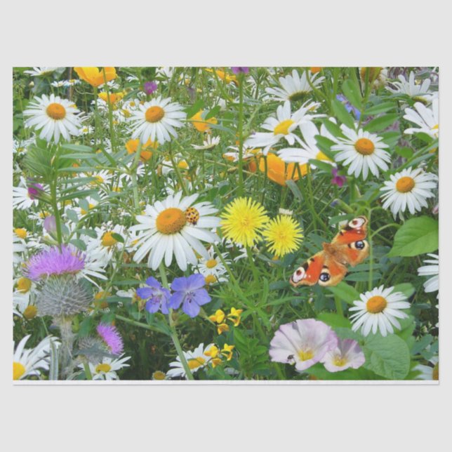 Papel seda de los Wildflowers (Anverso)