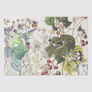 Papel seda de los Wildflowers del pájaro de la