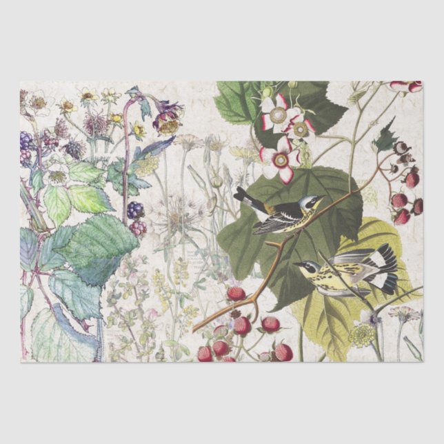 Papel seda de los Wildflowers del pájaro de la (Anverso)